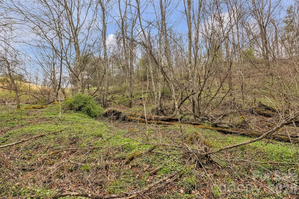 Tbd Big Helton Road Grassy Creek NC 28631