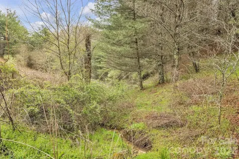 Tbd Big Helton Road Grassy Creek NC 28631