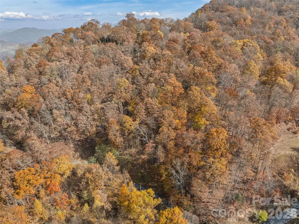 Lot 44 Weatherwatch Drive Waynesville NC 28786