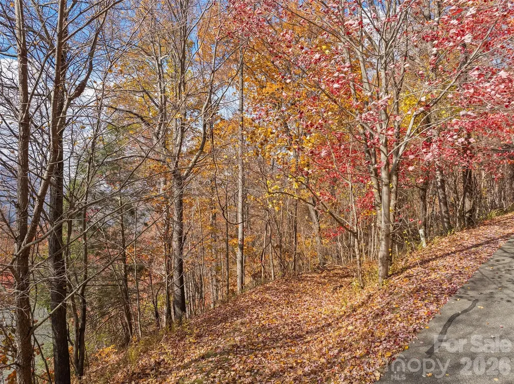 Lot 44 Weatherwatch Drive Waynesville NC 28786