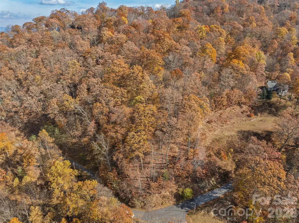 Lot 44 Weatherwatch Drive Waynesville NC 28786
