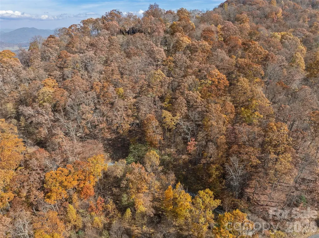 Lot 44 Weatherwatch Drive Waynesville NC 28786