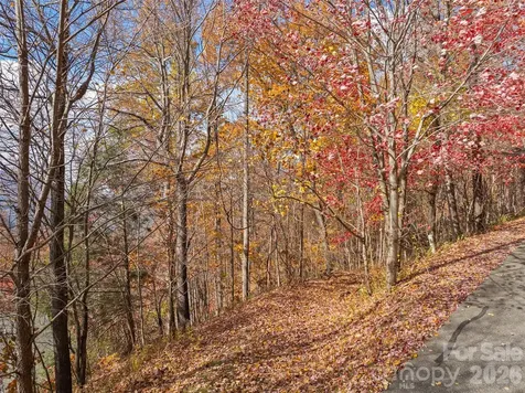 Lot 44 Weatherwatch Drive Waynesville NC 28786