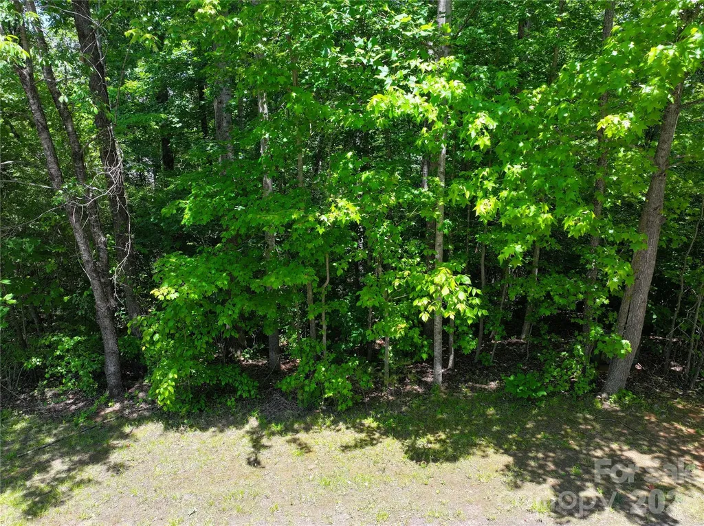 Tbd Broken Arrow Drive Statesville NC 28677
