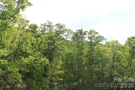101 Wood Owl Court Hendersonville NC 28791