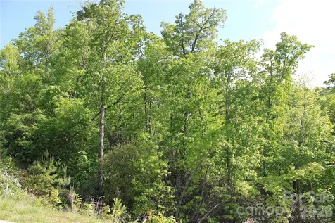 101 Wood Owl Court Hendersonville NC 28791