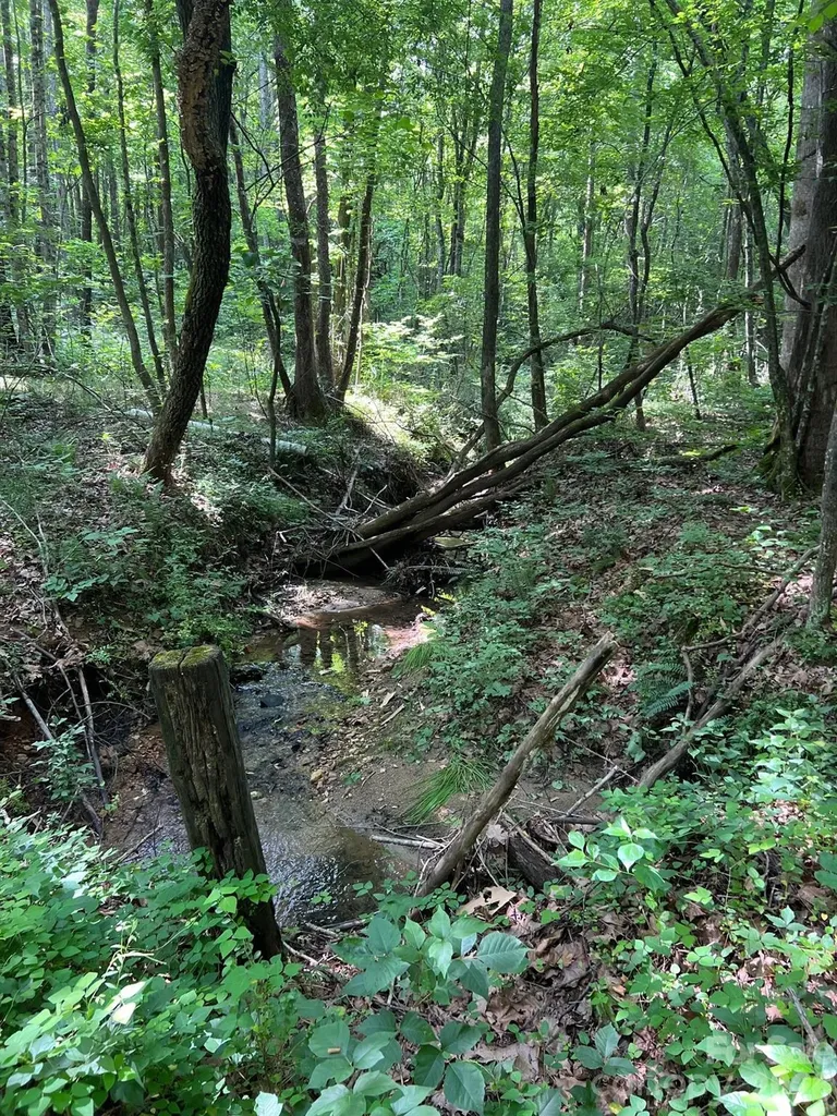0 Gold Mine Road Morganton NC 28655