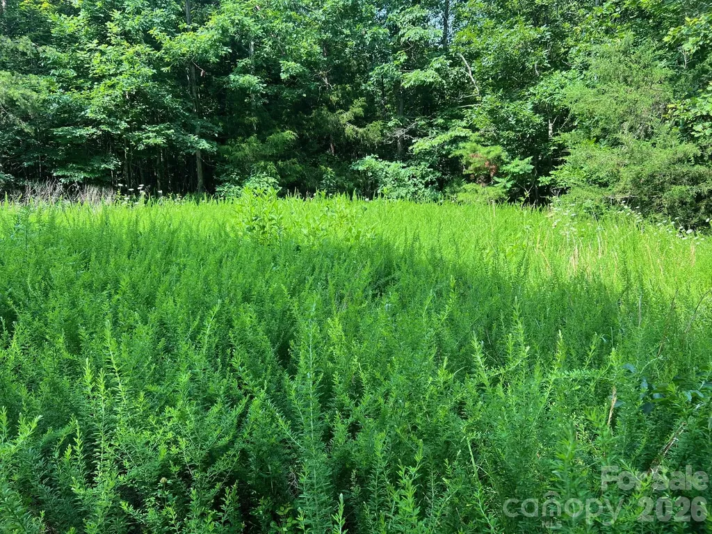 0 Gold Mine Road Morganton NC 28655