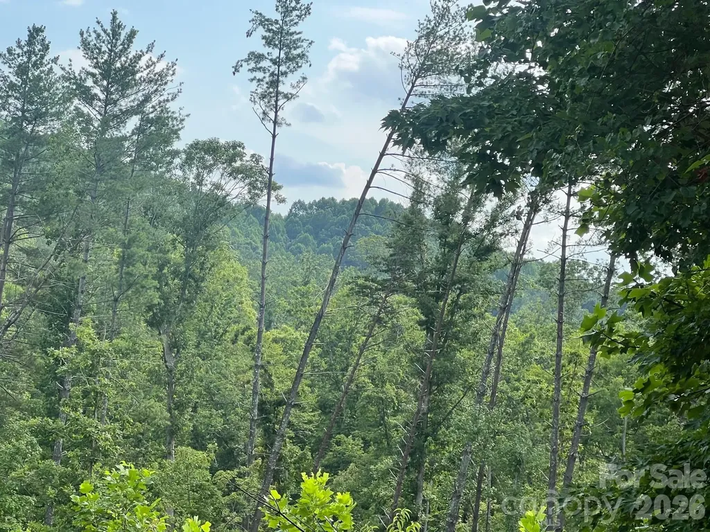 0 Gold Mine Road Morganton NC 28655