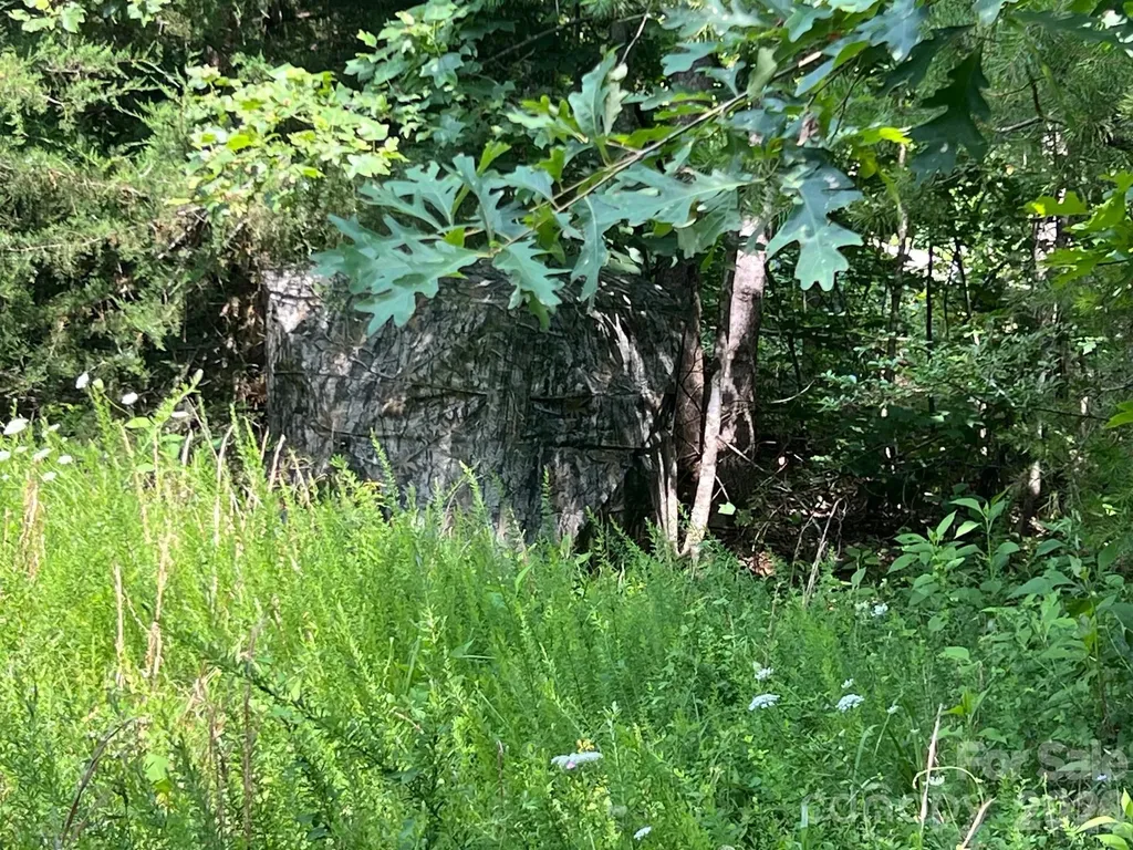 0 Gold Mine Road Morganton NC 28655
