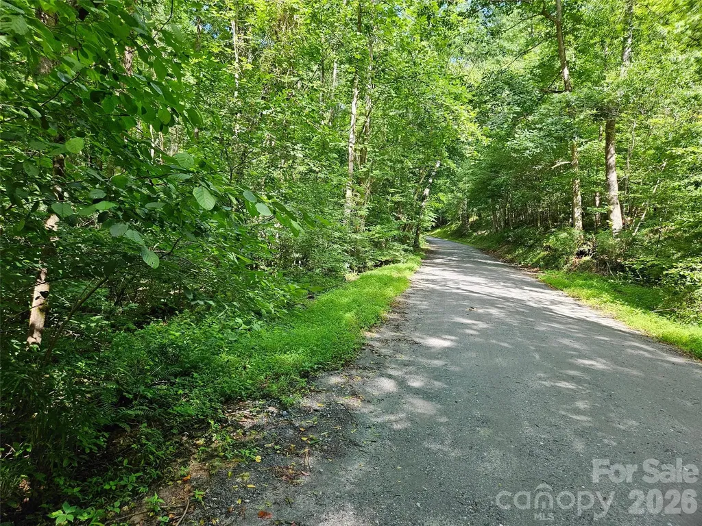 0 Sandpiper Avenue Lake Lure NC 28746