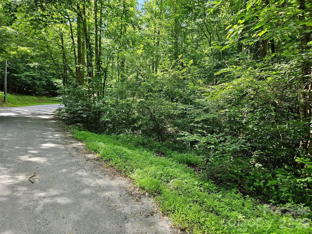 0 Sandpiper Avenue Lake Lure NC 28746