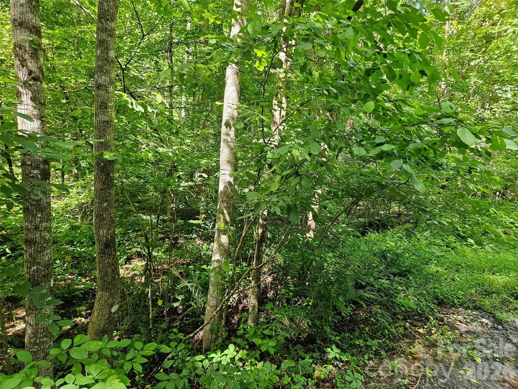 0 Sandpiper Avenue Lake Lure NC 28746