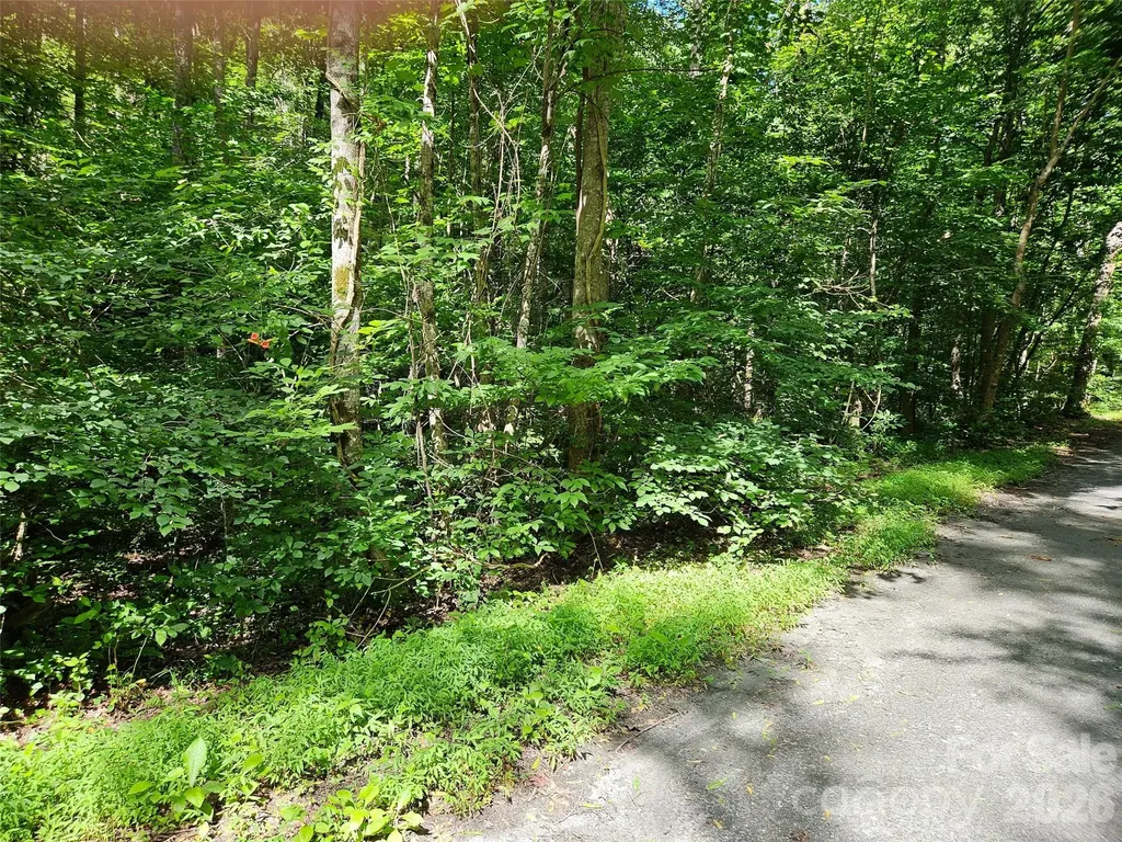 0 Sandpiper Avenue Lake Lure NC 28746