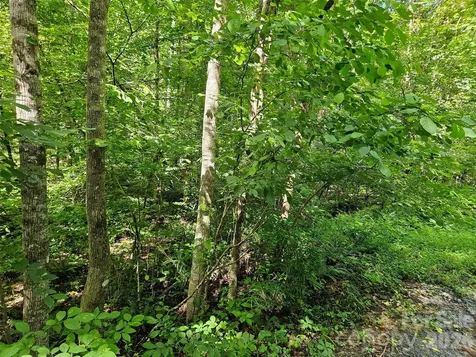 0 Sandpiper Avenue Lake Lure NC 28746