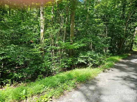 0 Sandpiper Avenue Lake Lure NC 28746
