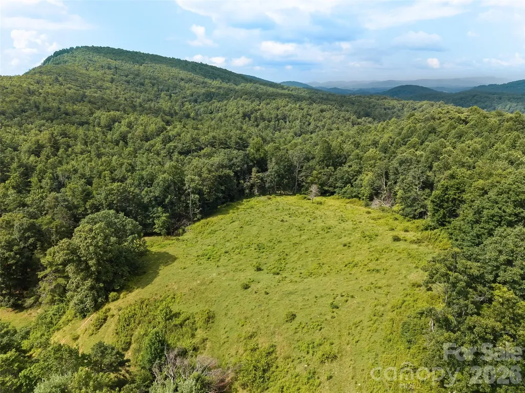 0 Summer Road Hendersonville NC 28792