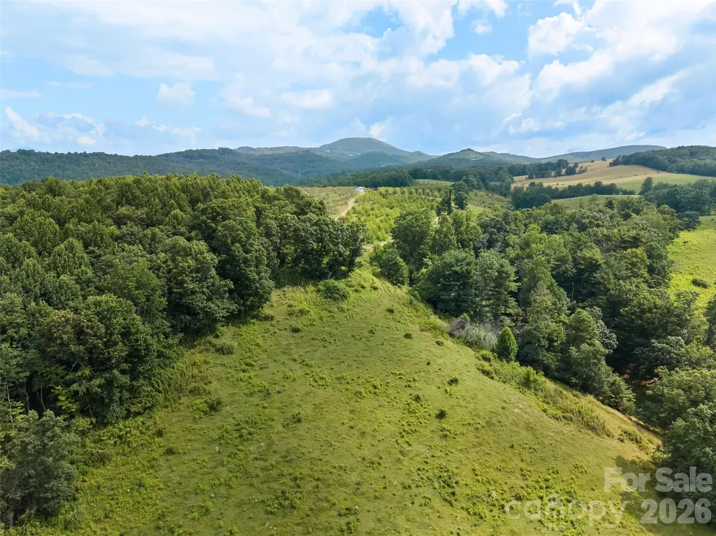 0 Summer Road Hendersonville NC 28792