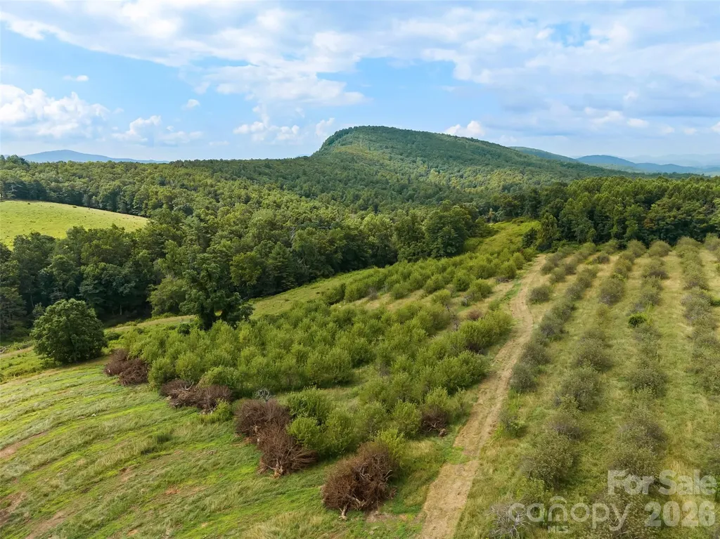 0 Summer Road Hendersonville NC 28792