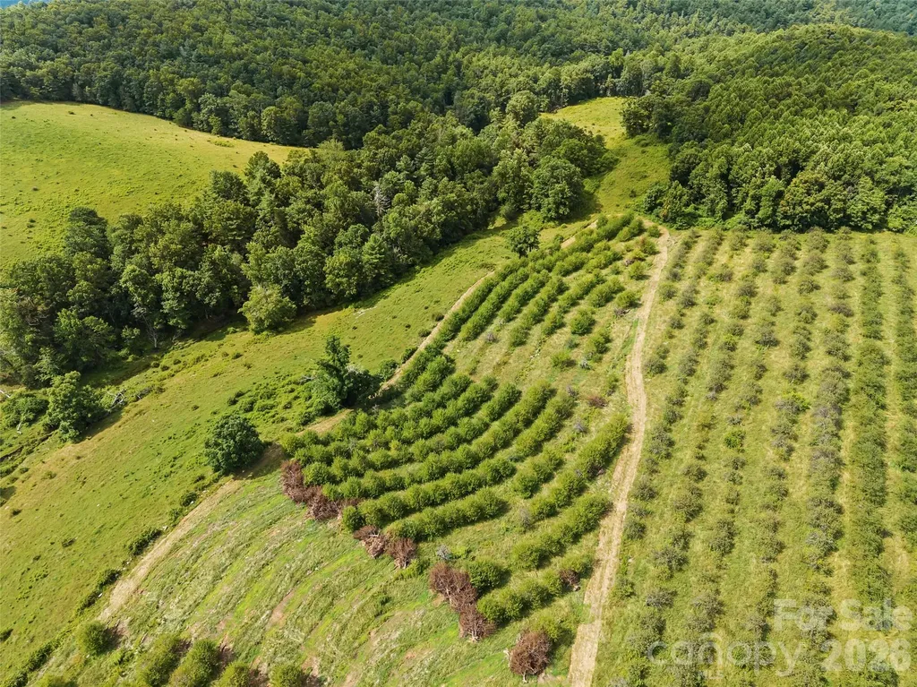 0 Summer Road Hendersonville NC 28792