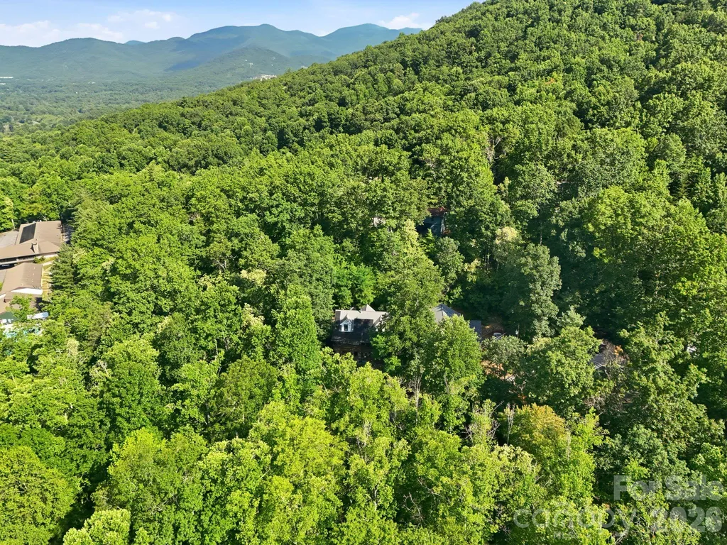 2 Coneflower Court Black Mountain NC 28711