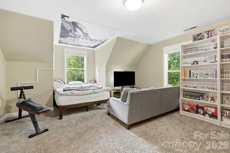 2 Coneflower Court Black Mountain NC 28711