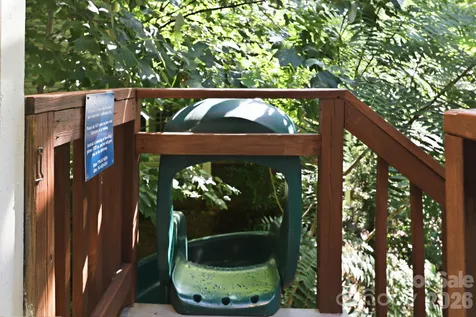 2 Coneflower Court Black Mountain NC 28711