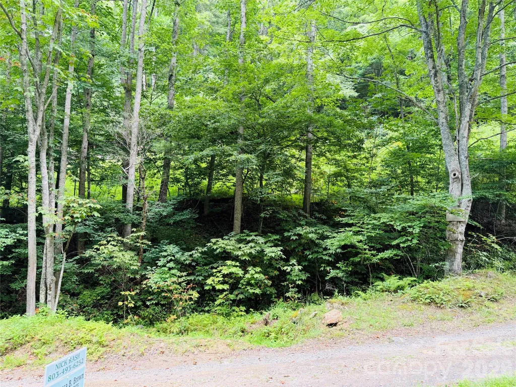 000 Sugar Creek Lane Green Mountain NC 28740