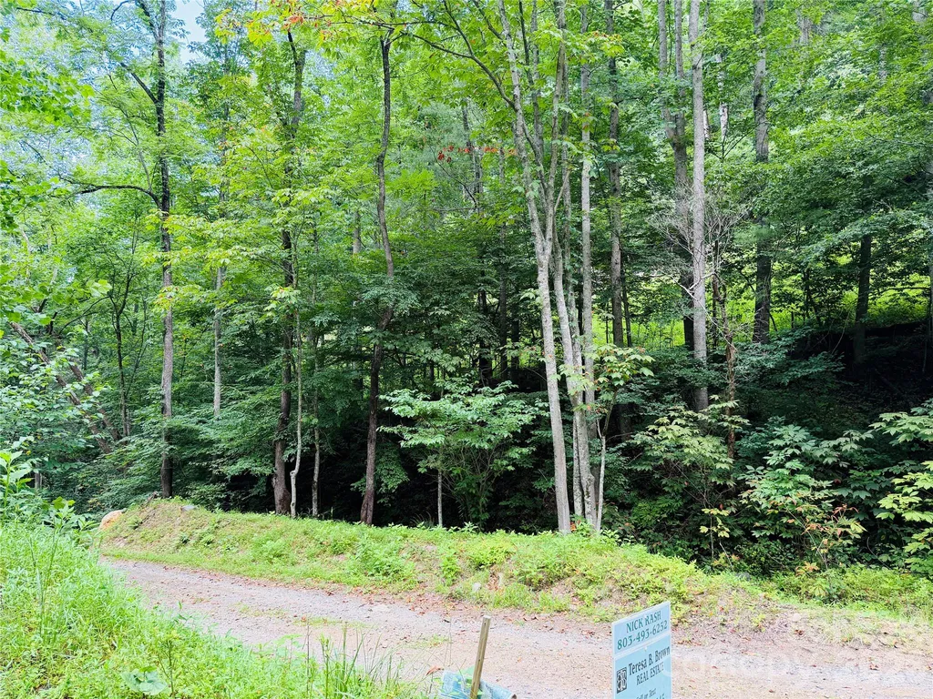 000 Sugar Creek Lane Green Mountain NC 28740