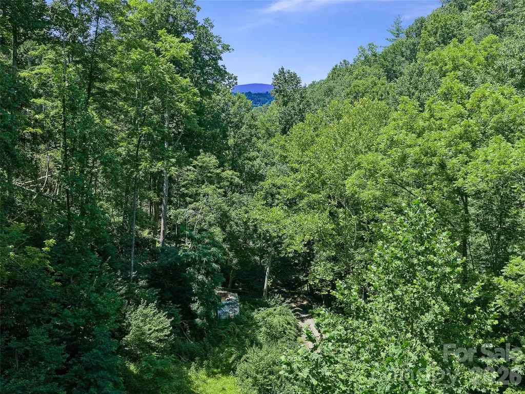 000 Sugar Creek Lane Green Mountain NC 28740