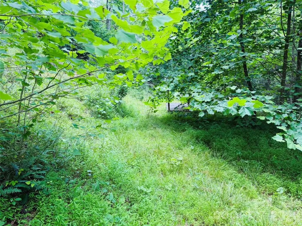 000 Sugar Creek Lane Green Mountain NC 28740