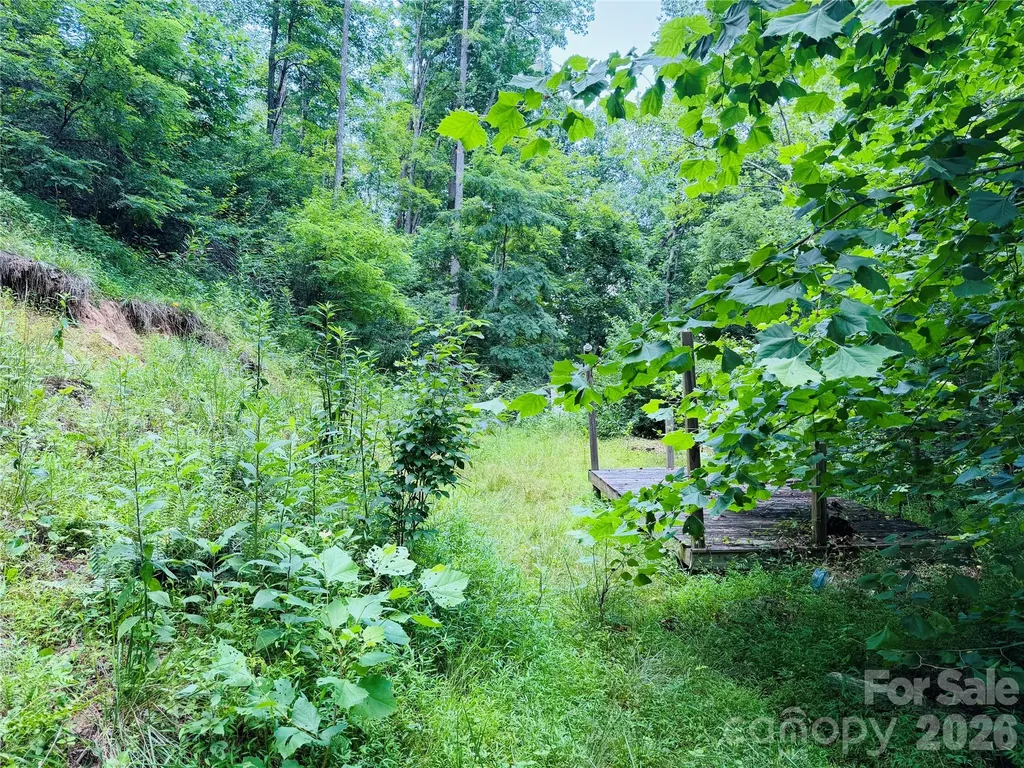 000 Sugar Creek Lane Green Mountain NC 28740