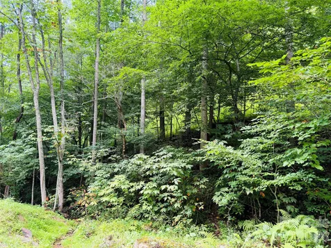 000 Sugar Creek Lane Green Mountain NC 28740