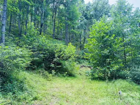 000 Sugar Creek Lane Green Mountain NC 28740
