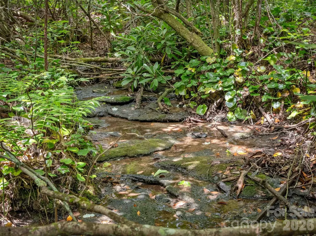 Lot 42 Spencer Lane Lake Toxaway NC 28747