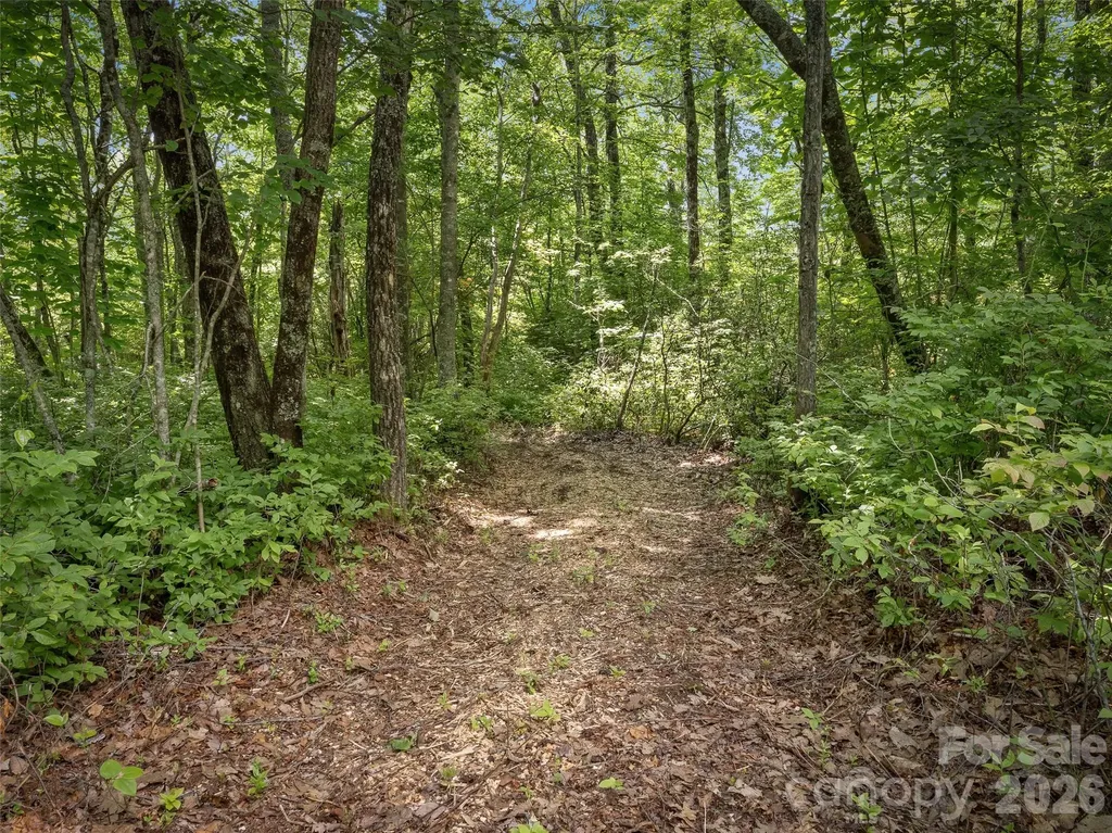 Lot 42 Spencer Lane Lake Toxaway NC 28747
