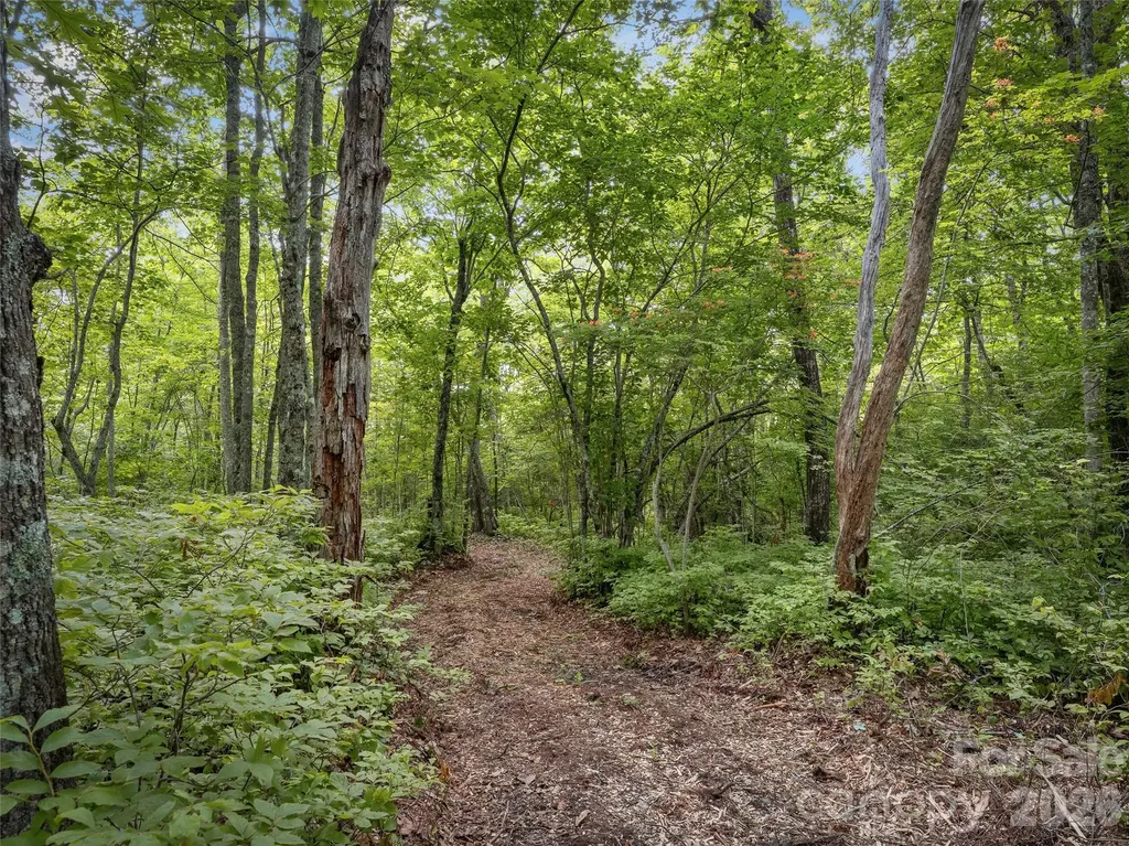 Lot 42 Spencer Lane Lake Toxaway NC 28747