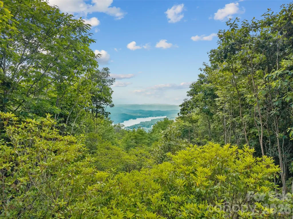 Lot 42 Spencer Lane Lake Toxaway NC 28747