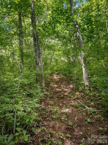 Lot 42 Spencer Lane Lake Toxaway NC 28747