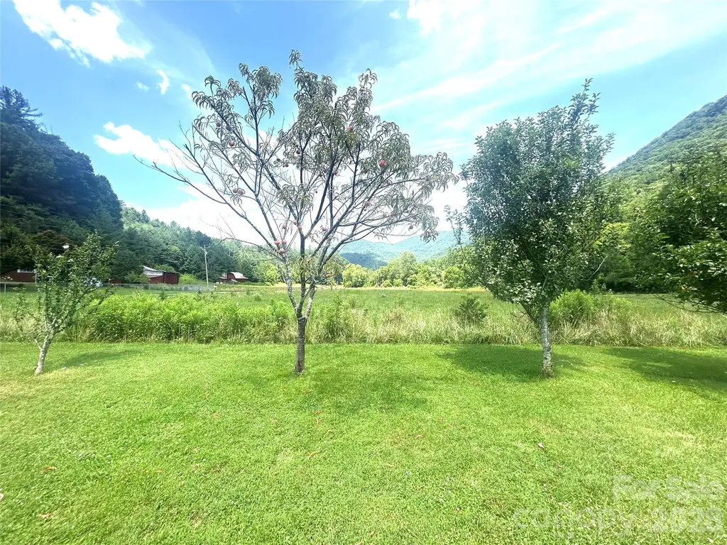 10755 Nc 209 Highway Hot Springs NC 28743