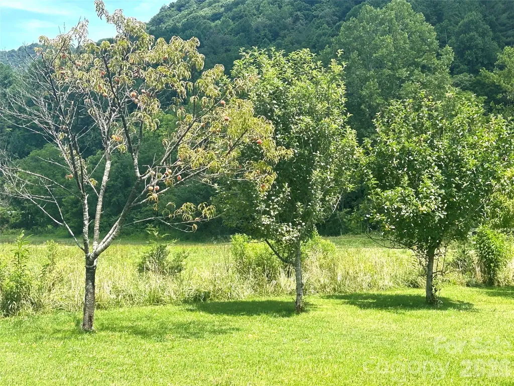 10755 Nc 209 Highway Hot Springs NC 28743
