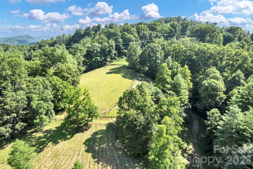 284 Paul Gosnell Road Marshall NC 28753