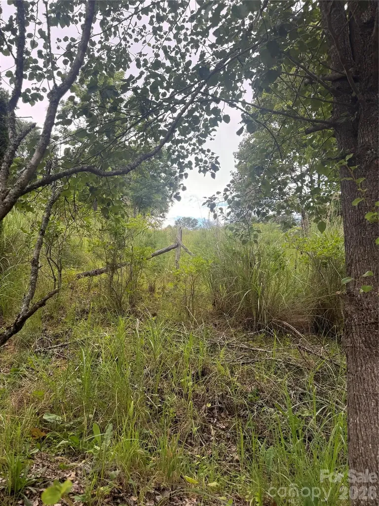 284 Paul Gosnell Road Marshall NC 28753