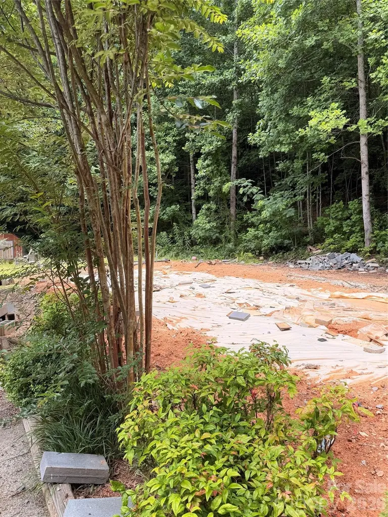 85 Corona Heights Lane Brevard NC 28712