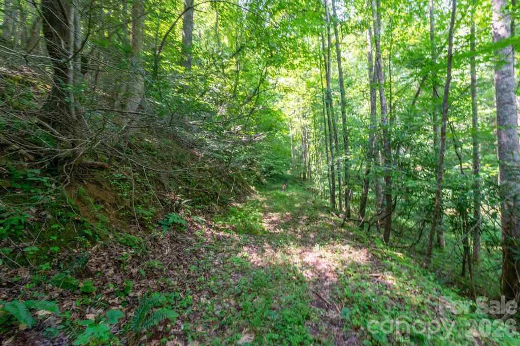 ### Board Tree Road Marshall NC 28753