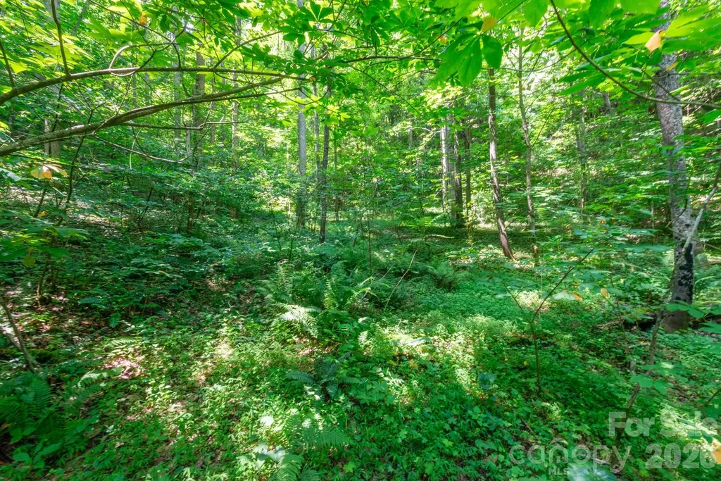 ### Board Tree Road Marshall NC 28753