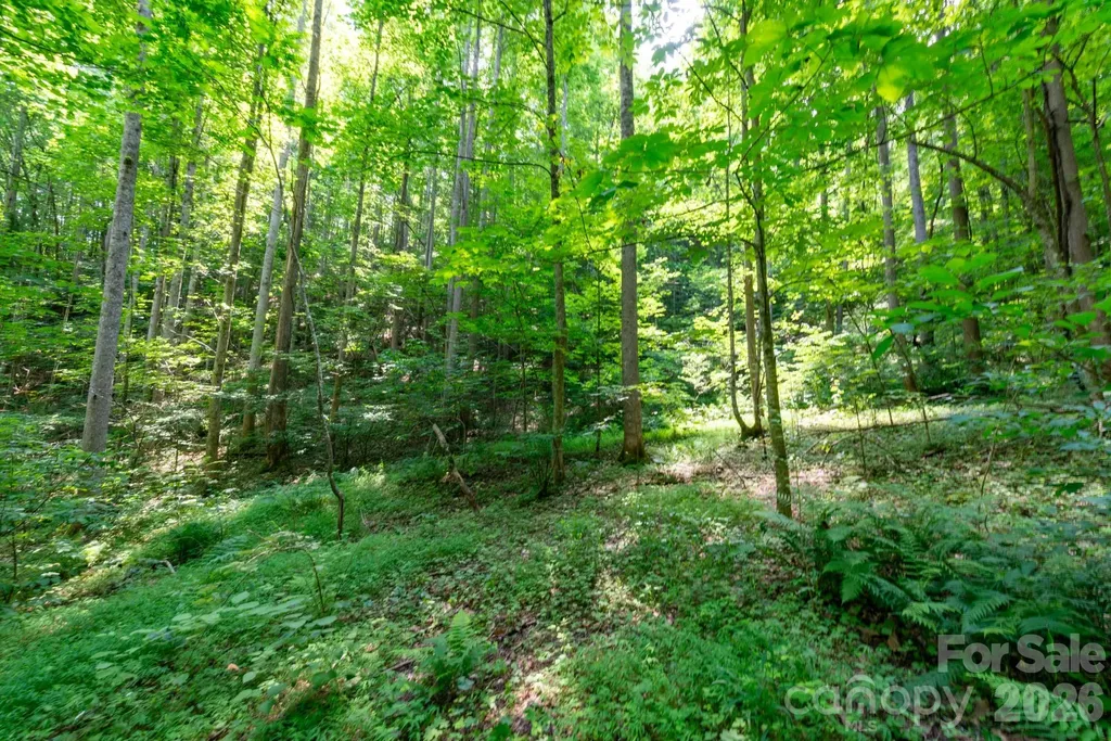 ### Board Tree Road Marshall NC 28753