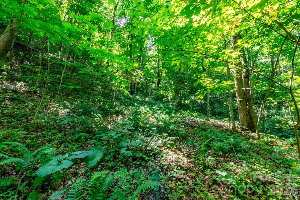 ### Board Tree Road Marshall NC 28753