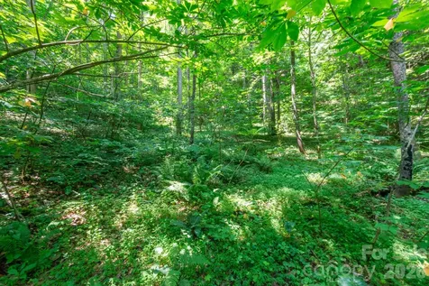 ### Board Tree Road Marshall NC 28753