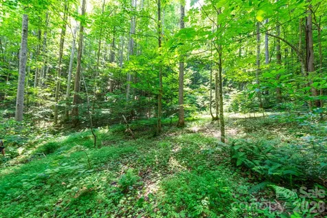 ### Board Tree Road Marshall NC 28753